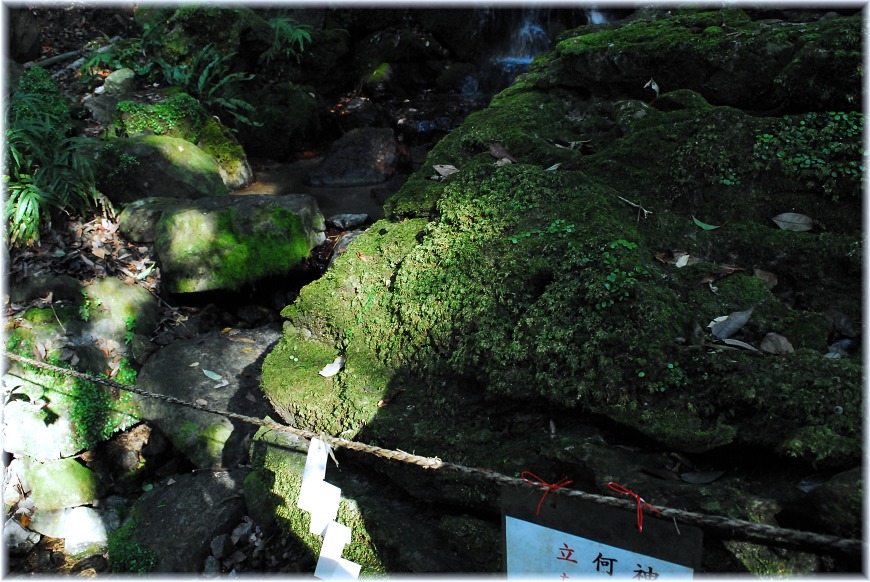 f:id:kasagatayaman:20191115113359j:plain f:id:kasagatayaman:20191115113359j:plain