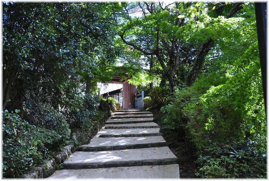 f:id:kasagatayaman:20191117194135j:plain f:id:kasagatayaman:20191117194135j:plain