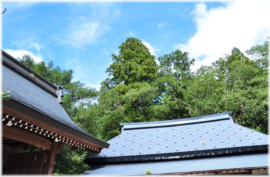 f:id:kasagatayaman:20191117194157j:plain f:id:kasagatayaman:20191117194157j:plain