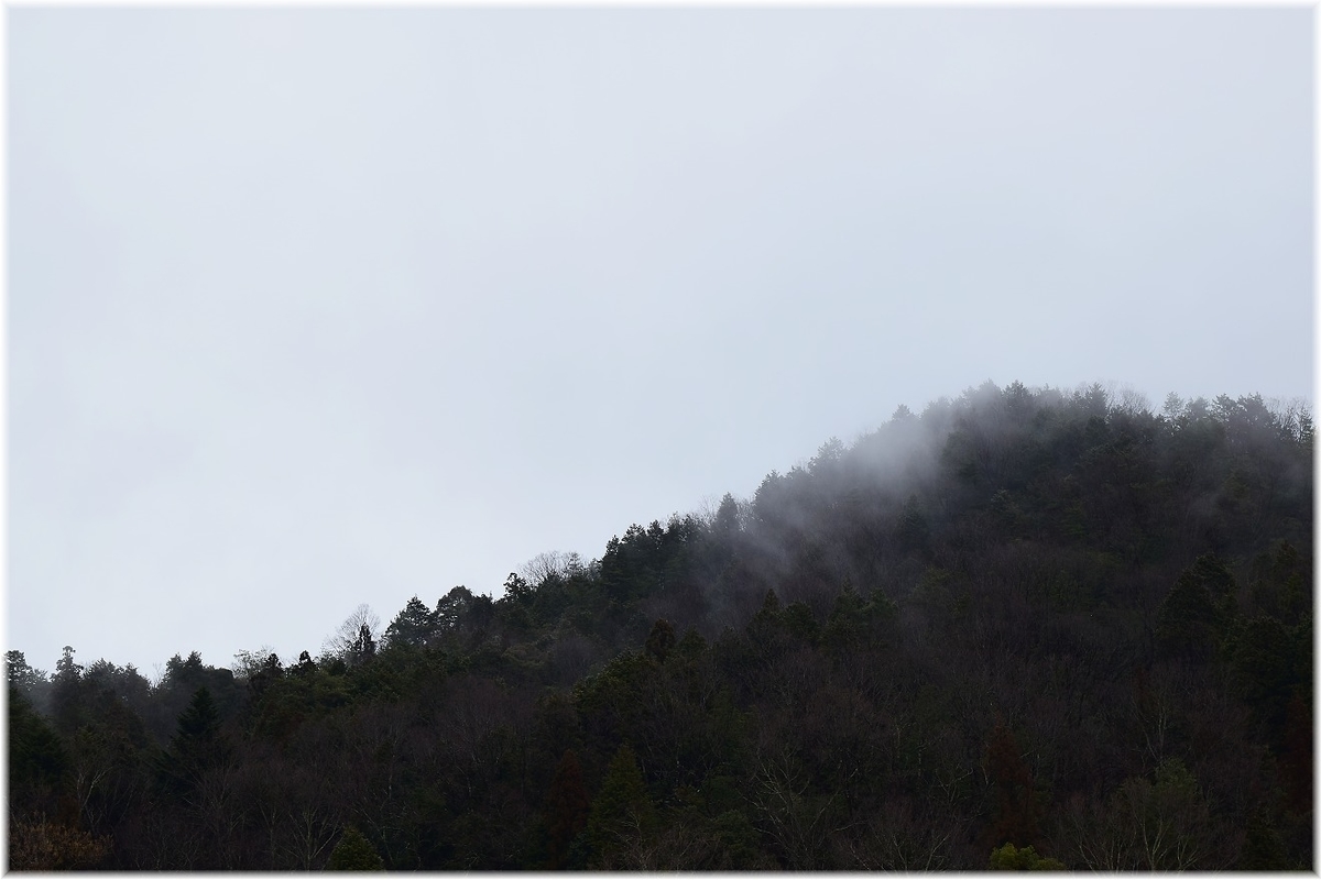 f:id:kasagatayaman:20200123211030j:plain