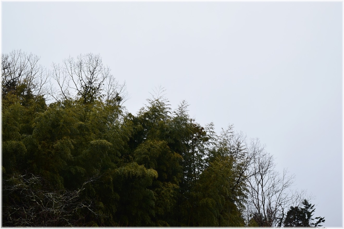 f:id:kasagatayaman:20200123211054j:plain