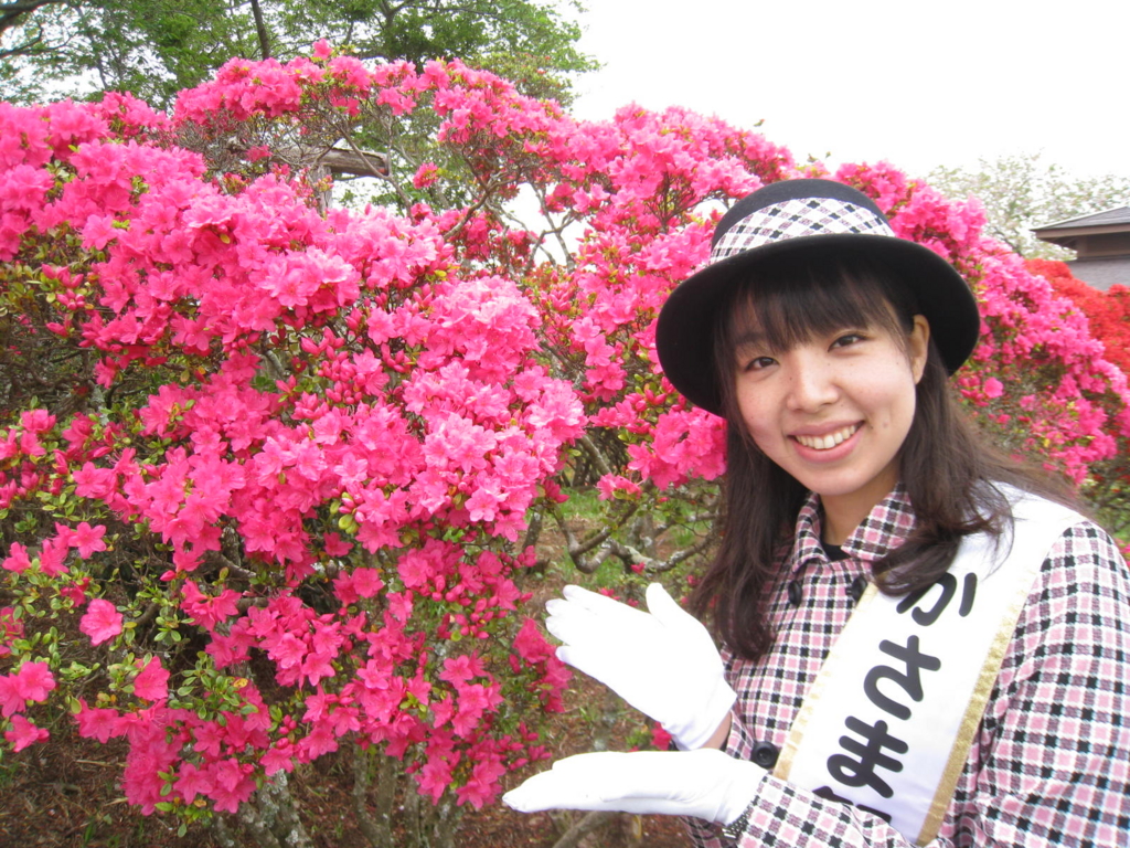 f:id:kasamafan:20170427164552j:plain f:id:kasamafan:20170427164552j:plain