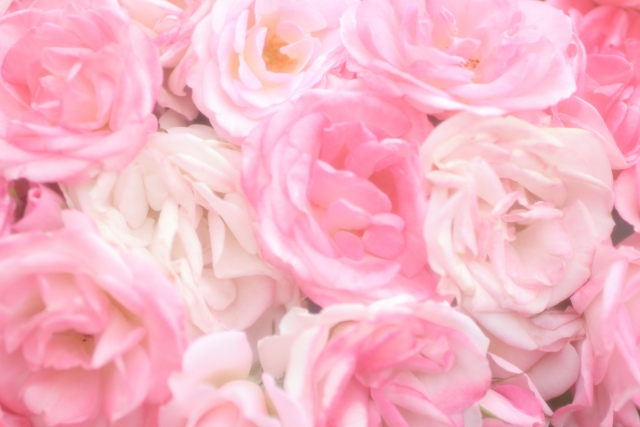 f:id:kasamori:20190622085245j:plain