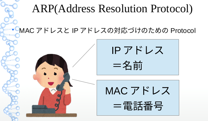 C言語で通信を盗聴する その１ Arpキャッシュポイズニング かさやぬすの日記