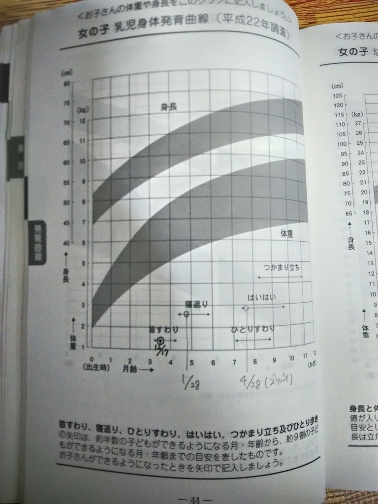 次女0歳9カ月 未だ ひとりすわり せず 主婦のわたくしごと