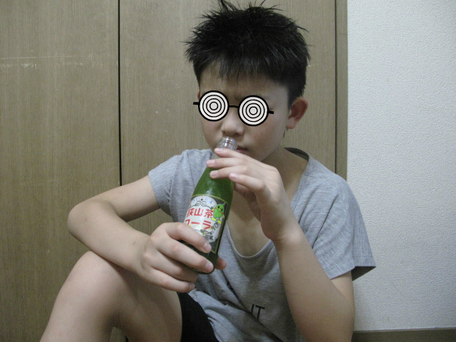 f:id:kaseinosyounen:20160814201623j:plain f:id:kaseinosyounen:20160814201623j:plain