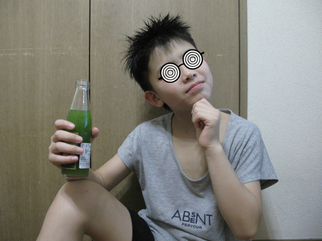 f:id:kaseinosyounen:20160814202026j:plain f:id:kaseinosyounen:20160814202026j:plain
