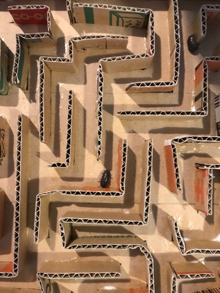 f:id:kaseken:20190723221434j:plain f:id:kaseken:20190723221434j:plain