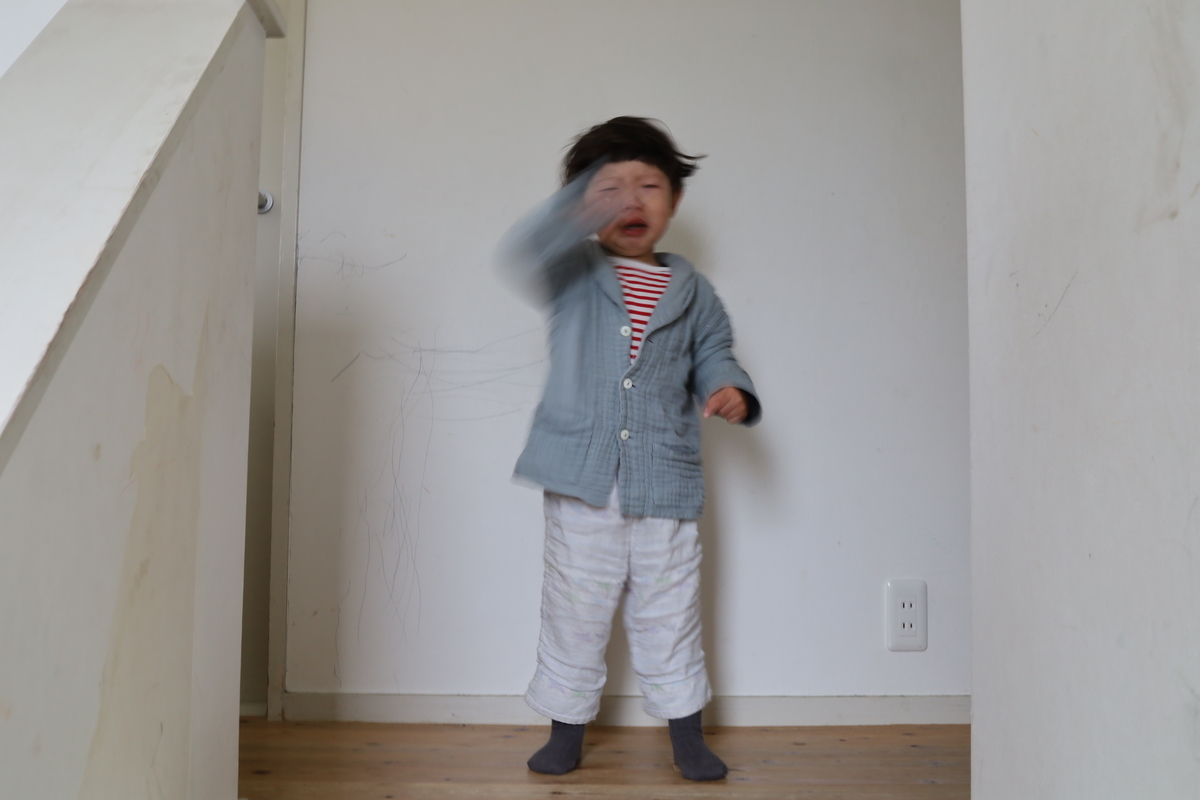 f:id:kaseken:20191229104327j:plain