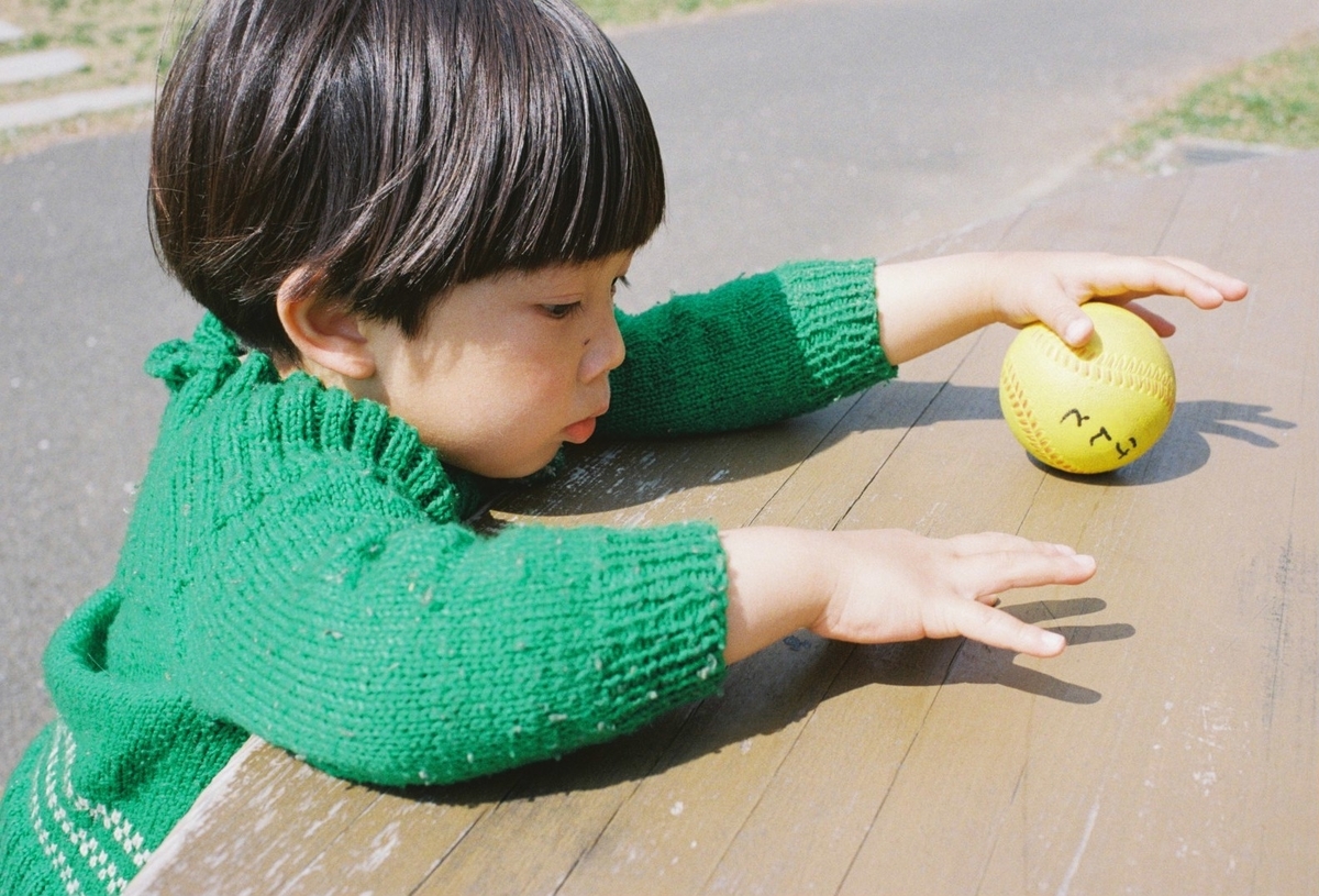 f:id:kaseken:20200526104837j:plain f:id:kaseken:20200526104837j:plain