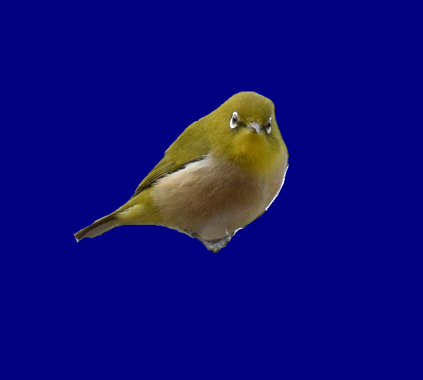 f:id:kasero:20211217235341p:plain