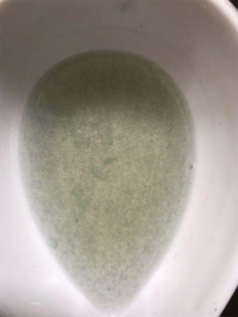 f:id:kashi1109:20190820115940j:image