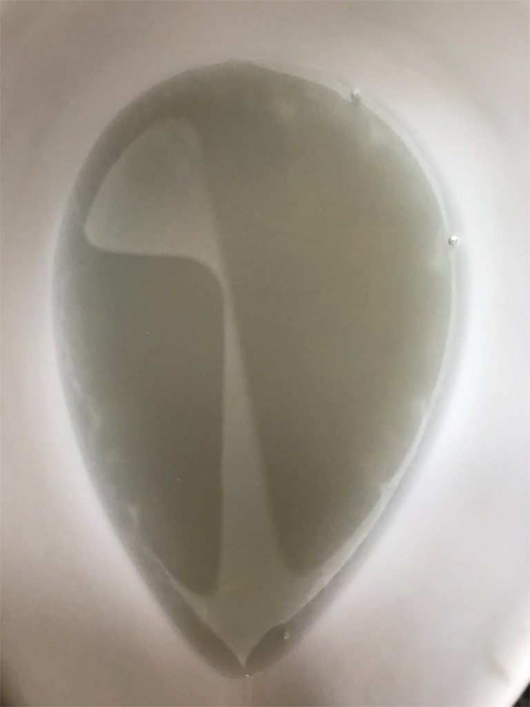 f:id:kashi1109:20190905192031j:image