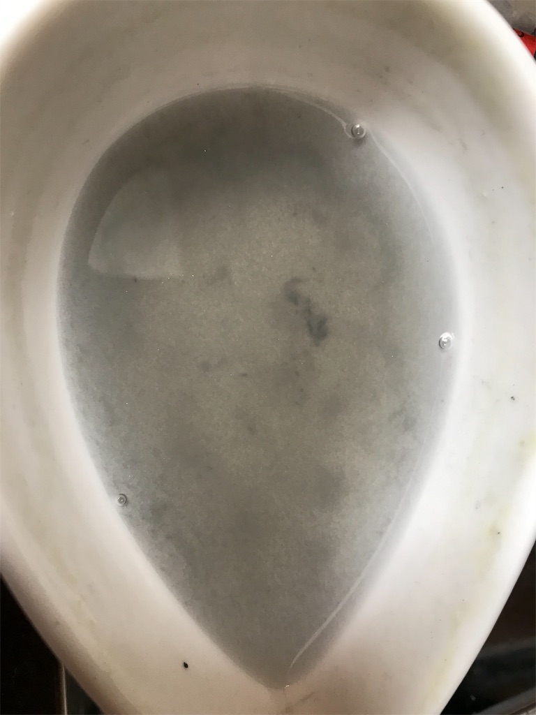 f:id:kashi1109:20191126184819j:image