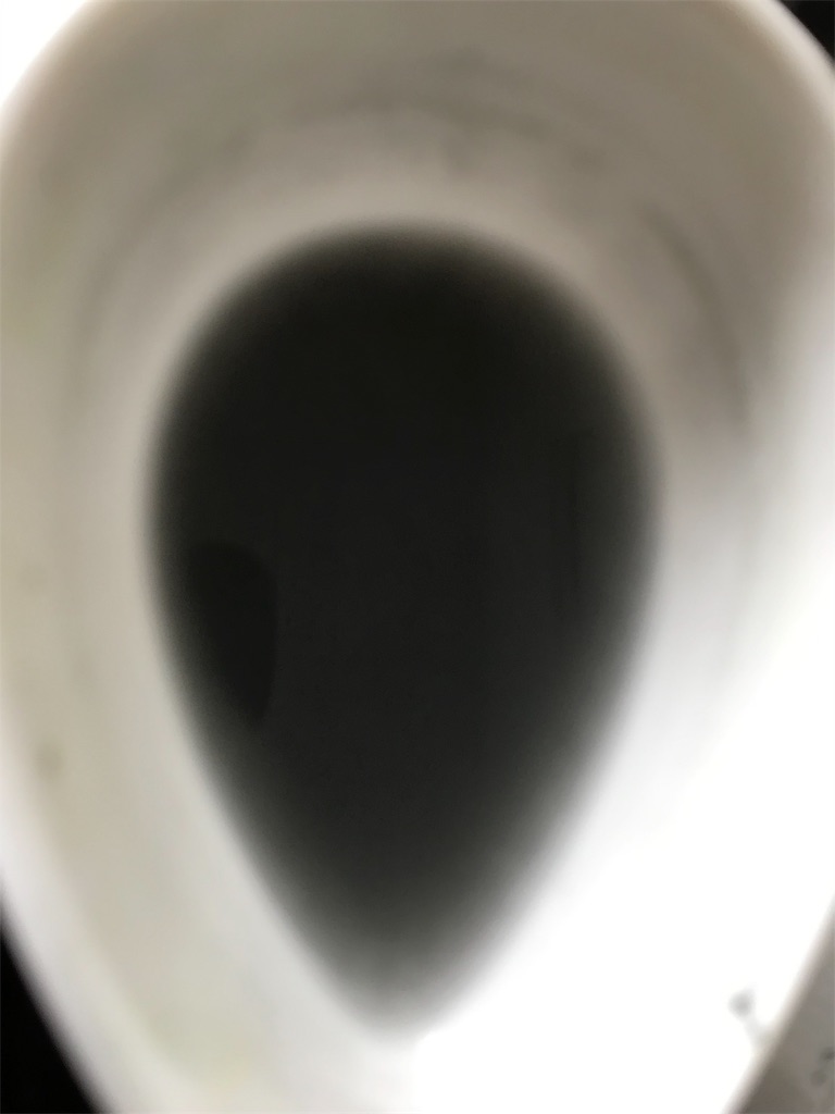 f:id:kashi1109:20191213204621j:image