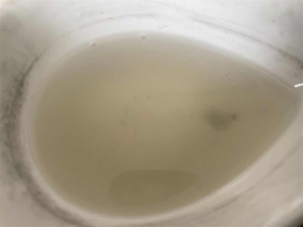 f:id:kashi1109:20201103180730j:image