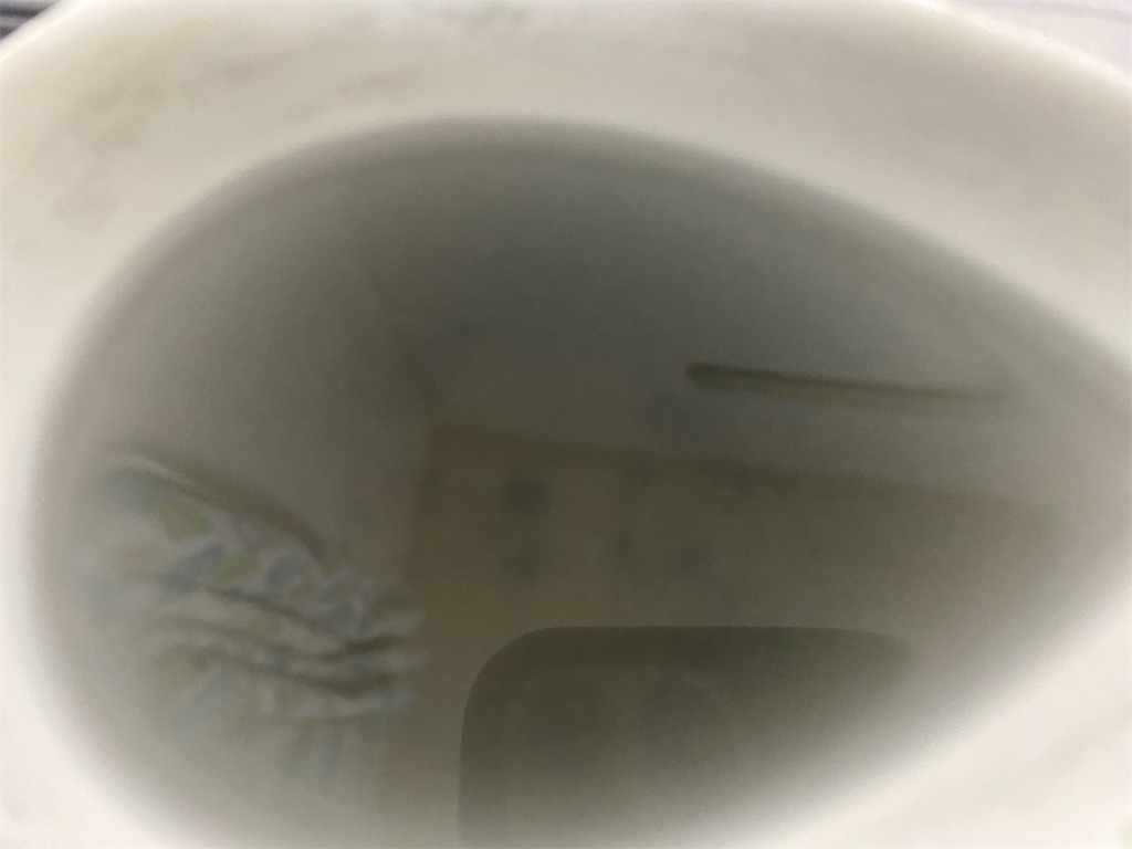 f:id:kashi1109:20220502150948j:image