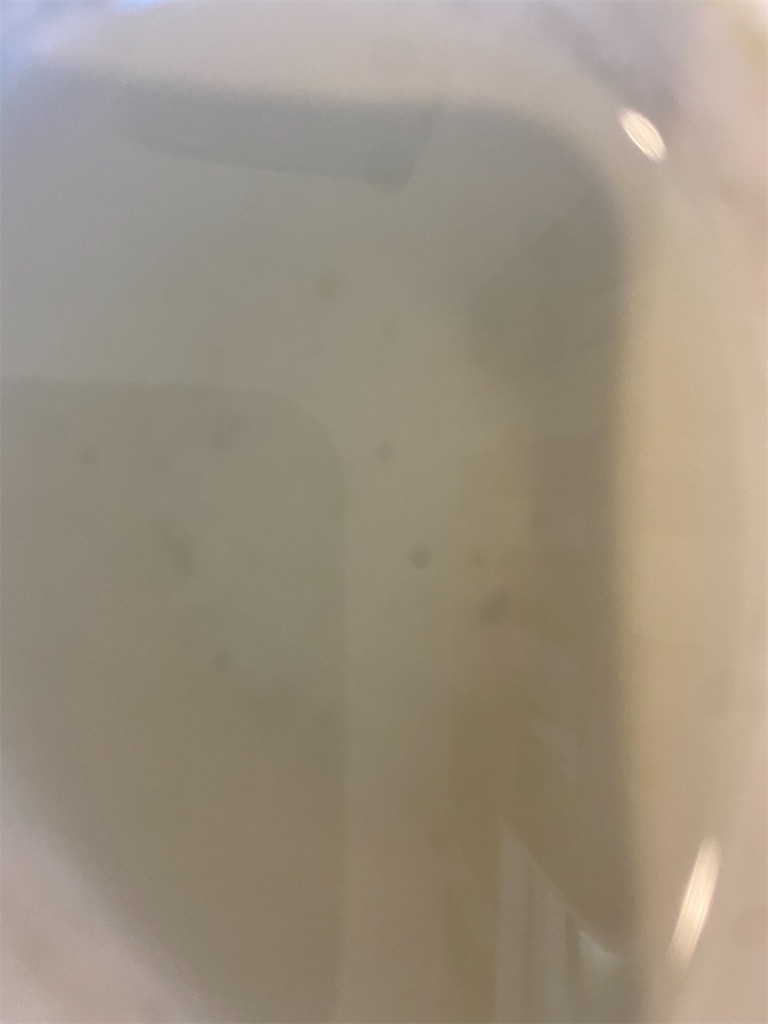 f:id:kashi1109:20240201002031j:image f:id:kashi1109:20240201002031j:image