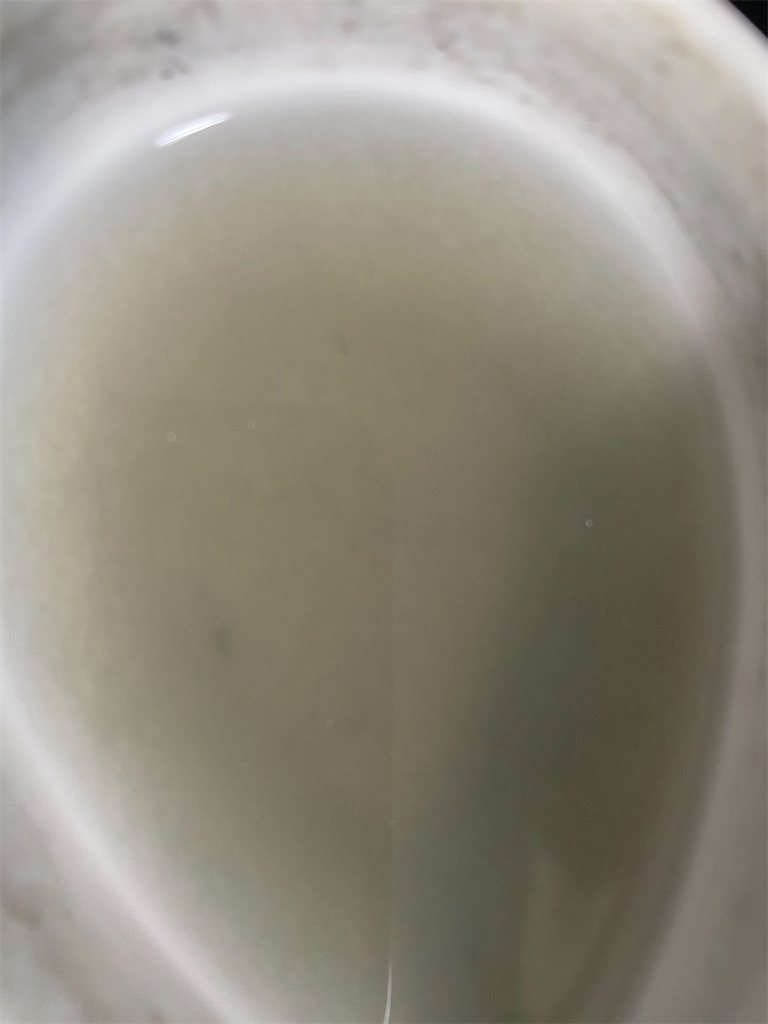 f:id:kashi1109:20240314222700j:image f:id:kashi1109:20240314222700j:image