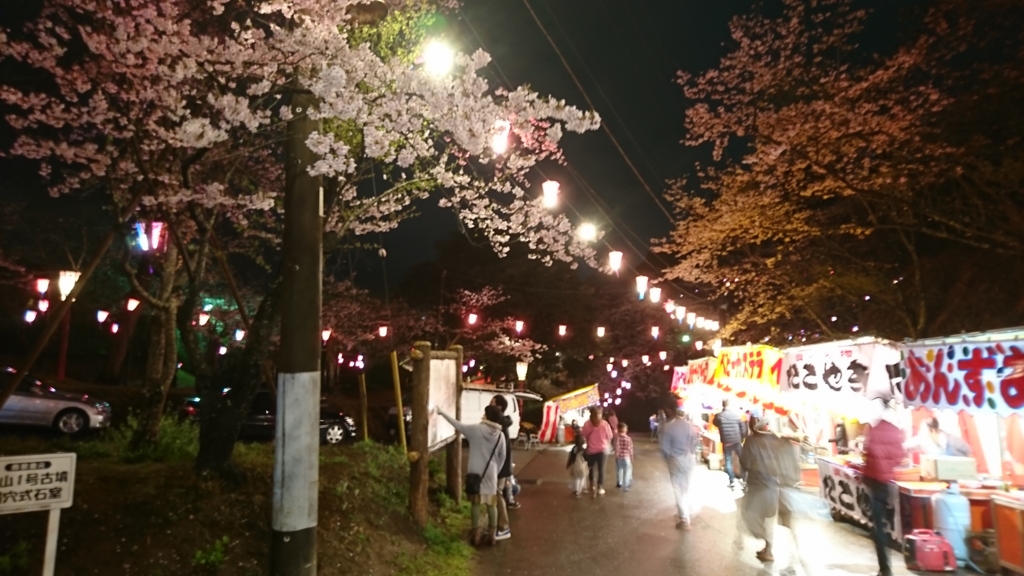 桜雨でより幻想的な千葉県小見川城山公園 アウトドアとｄｉｙ