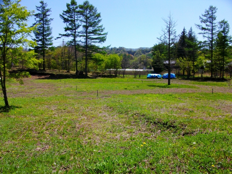 f:id:kashiwamatajapan:20100517131622j:image
