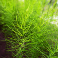 20110612132456