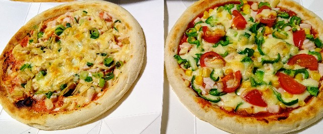 f:id:kasiwagikun:20201205213751j:image