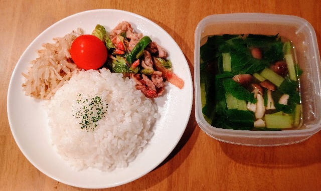 f:id:kasiwagikun:20201208194524j:image