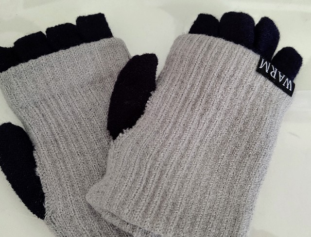 f:id:kasiwagikun:20201225192531j:image