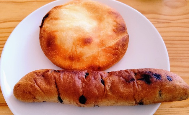 f:id:kasiwagikun:20210323202502j:image