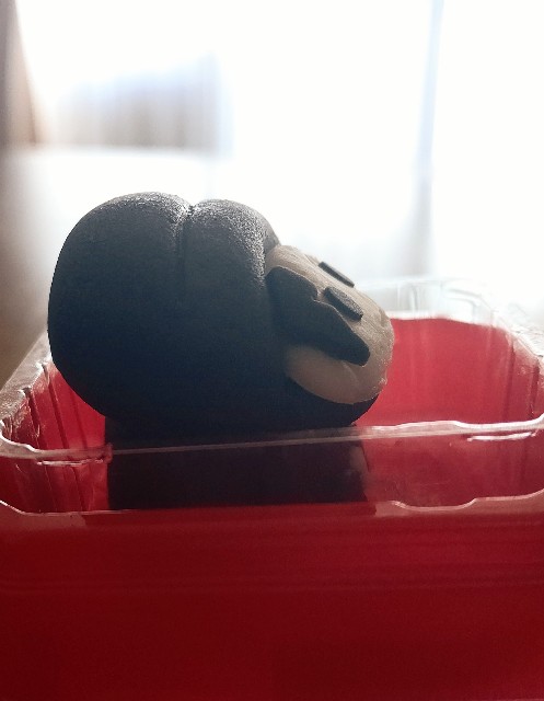 f:id:kasiwagikun:20210425195938j:image