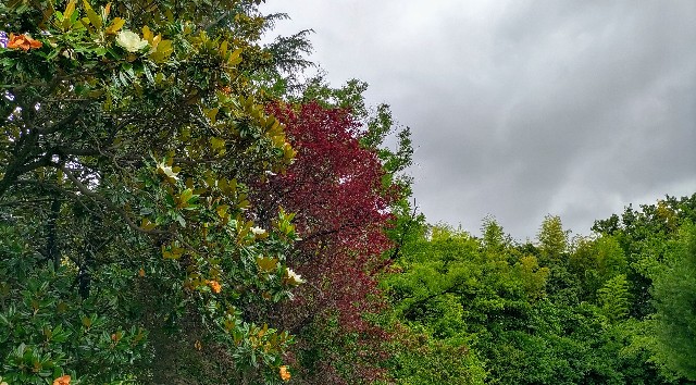 f:id:kasiwagikun:20210702210302j:image