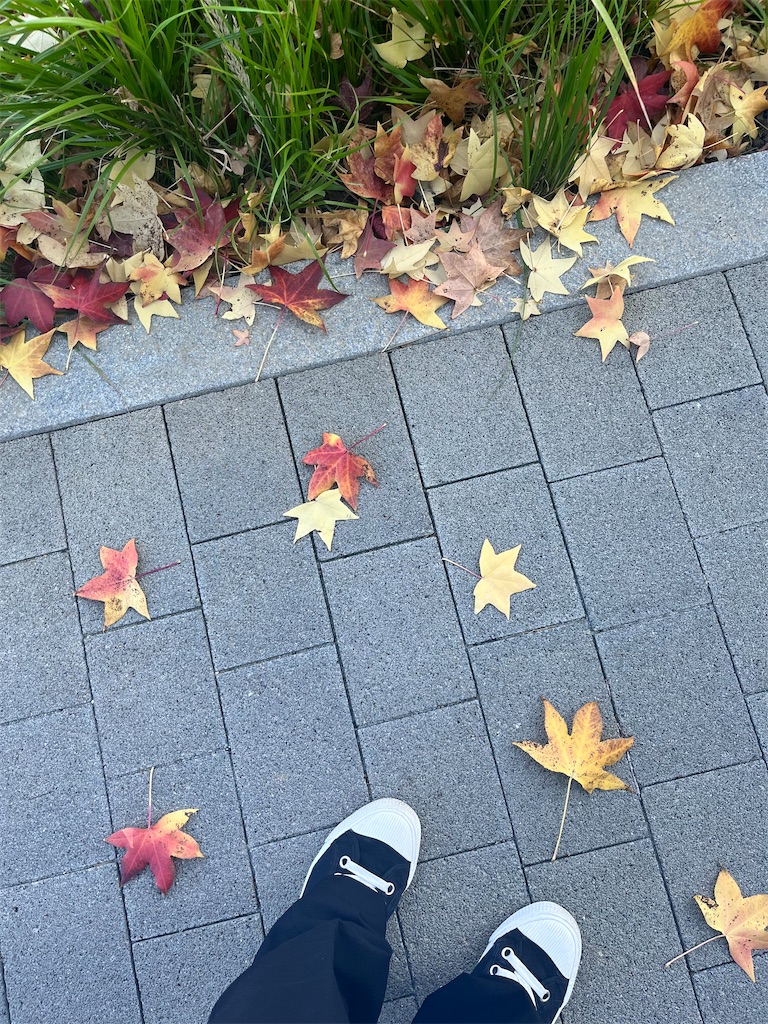 f:id:kasoomi66:20231229173459j:image