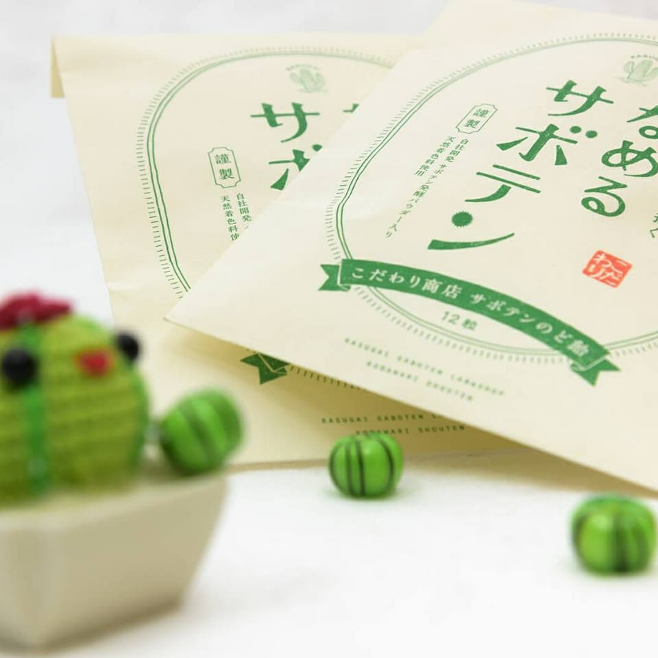 お店ブログを引越ししました 春日井サボテンこだわり商店