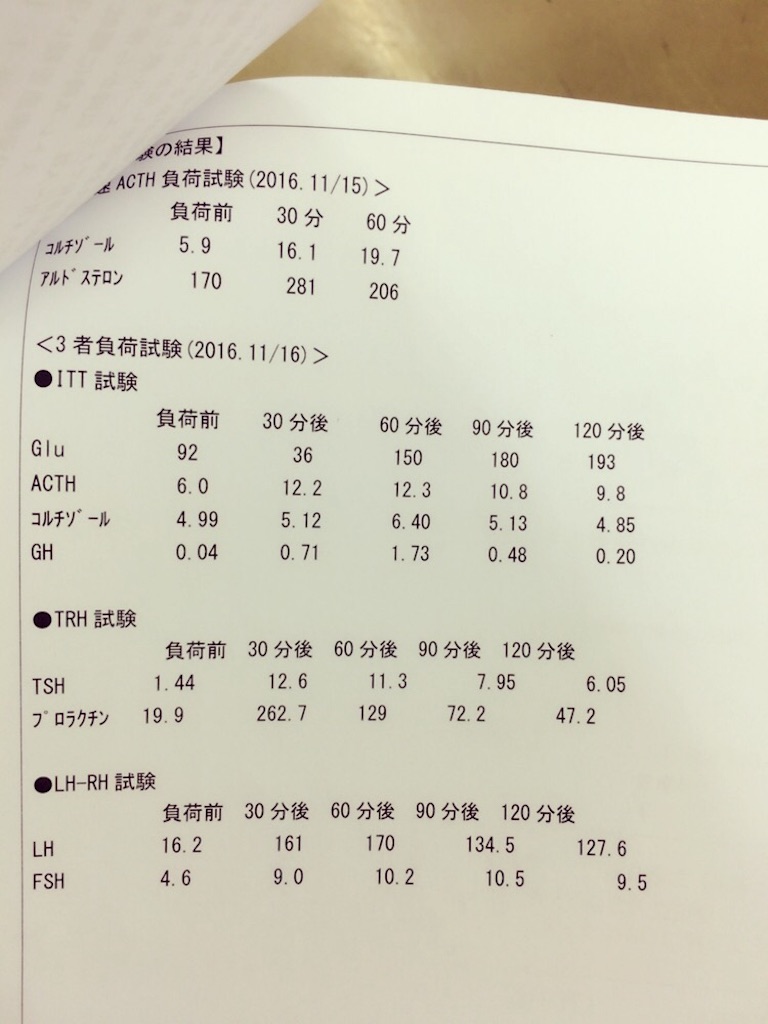 f:id:kasuitai-engineer:20180604211414j:image