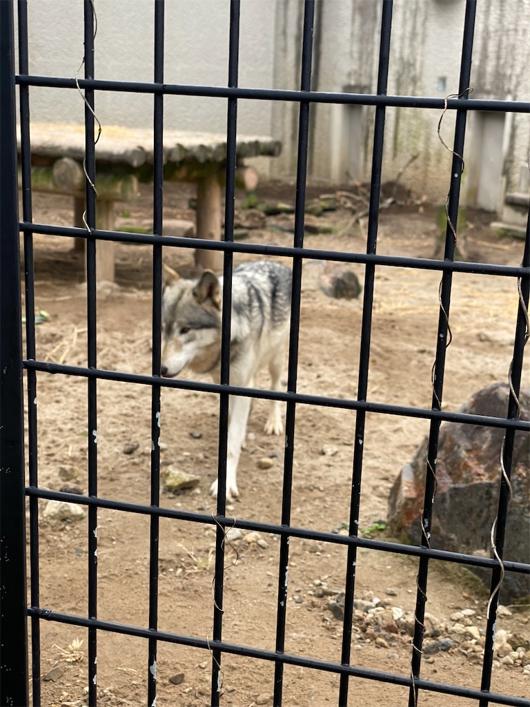 f:id:kasumi315:20260101210652j:image