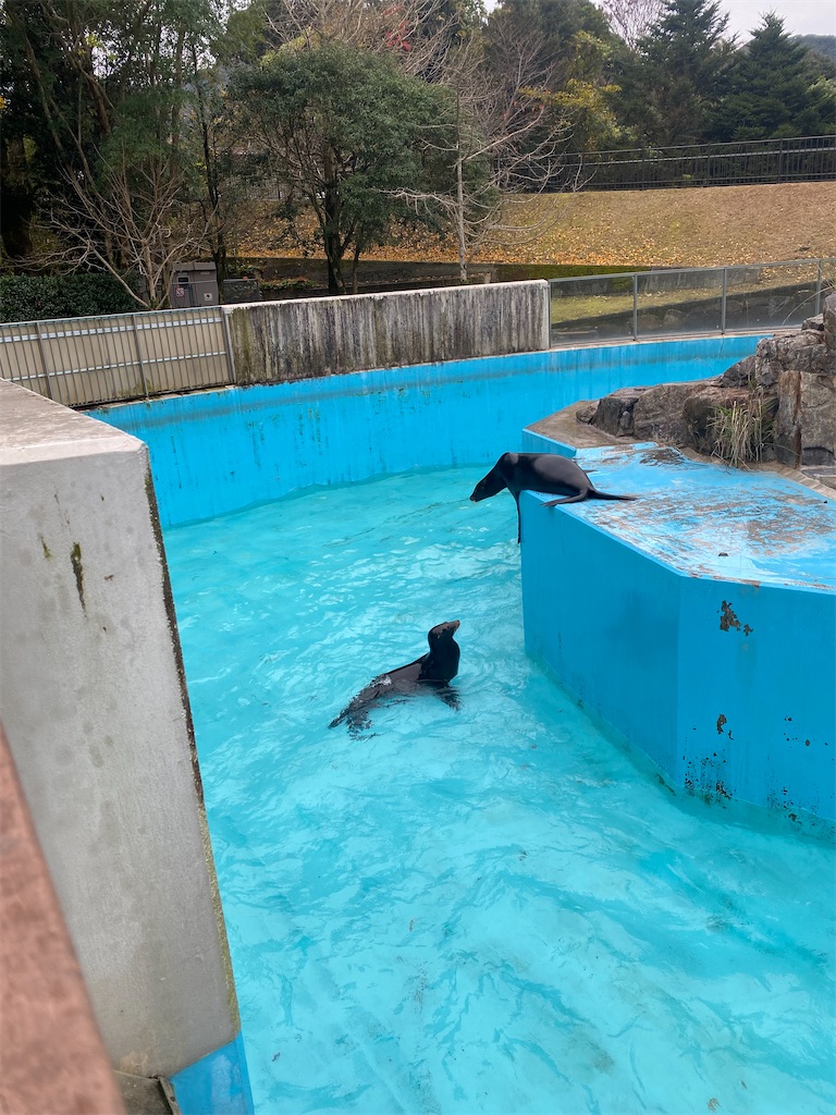 f:id:kasumi315:20260109091255j:image