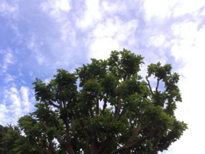 f:id:kasumii:20160905170654j:image
