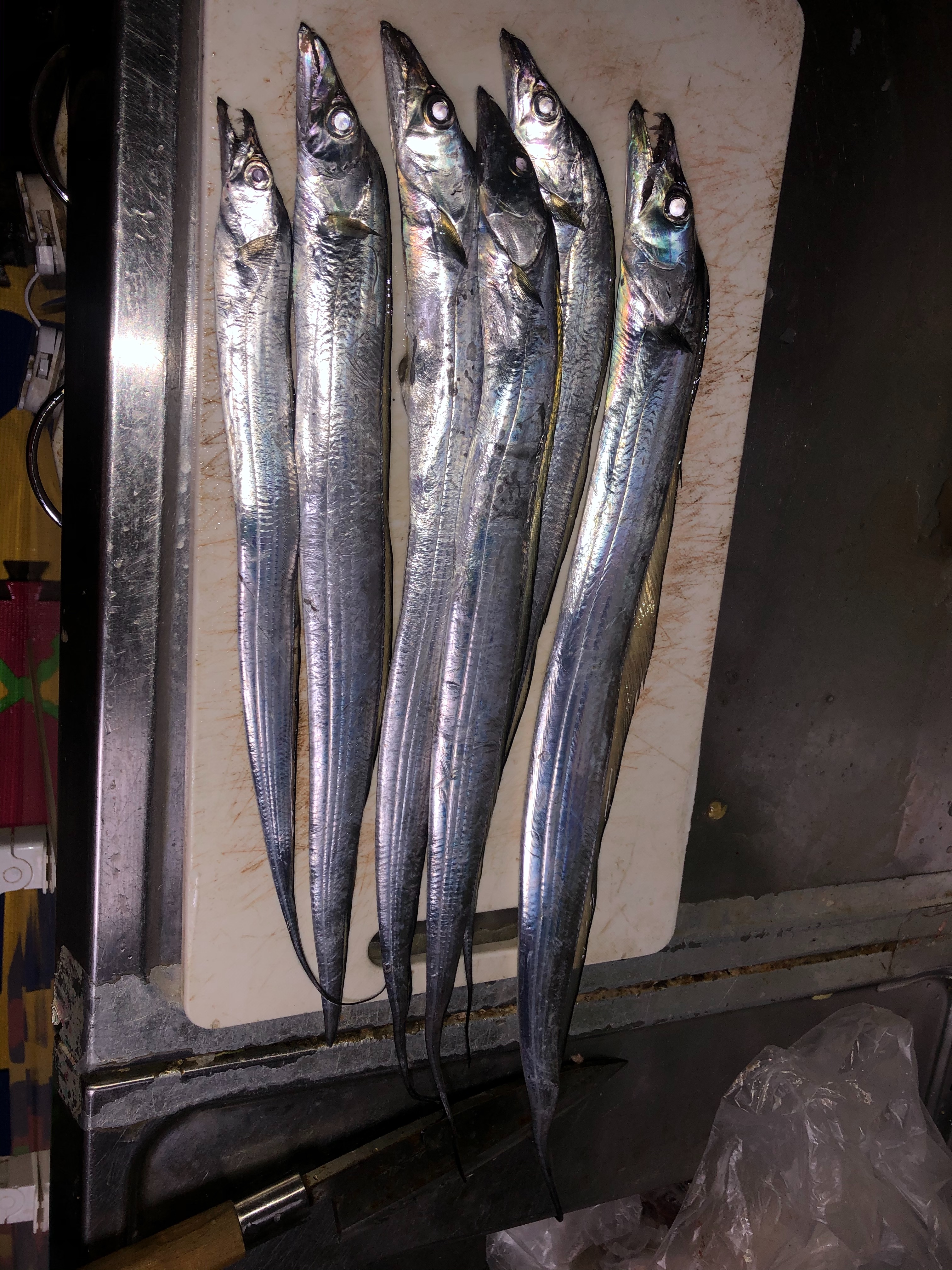 f:id:kasumikemuri06655:20210405014638j:image f:id:kasumikemuri06655:20210405014638j:image