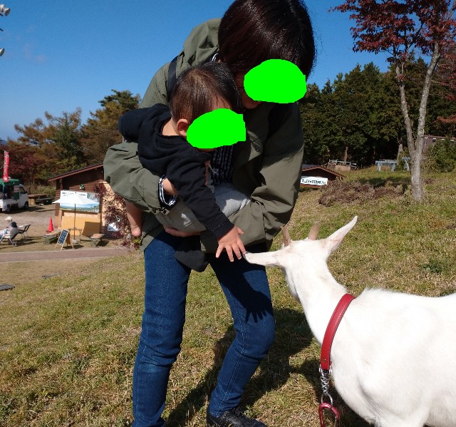 f:id:kasumin0:20191119101344j:image f:id:kasumin0:20191119101344j:image