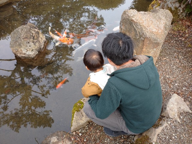 f:id:kasumin0:20200205100441j:image