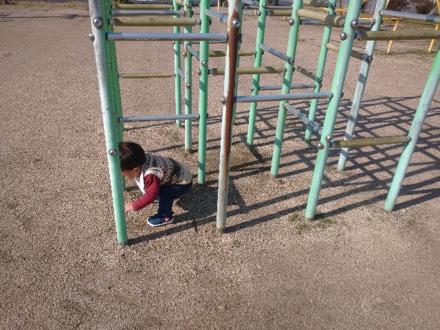 f:id:kasumin0:20200318134020j:image