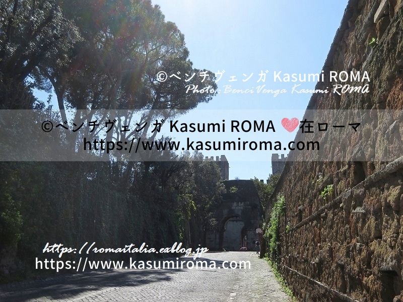 f:id:kasumiroma:20200605012915j:plain f:id:kasumiroma:20200605012915j:plain