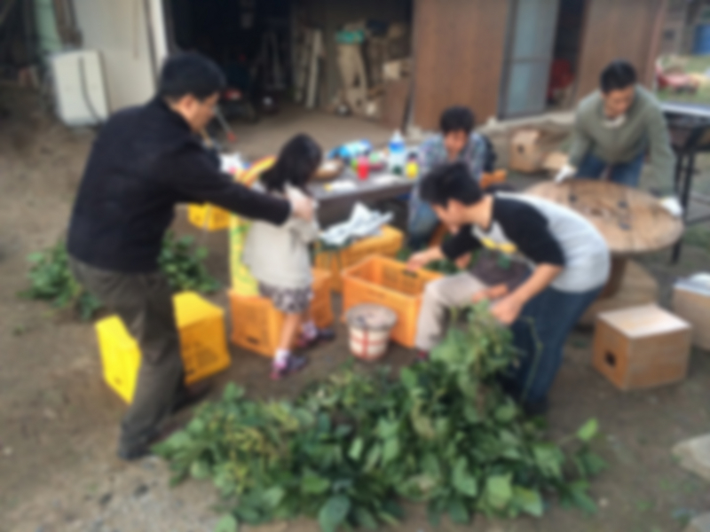 f:id:kasunavi:20131027164855j:image:w300:left