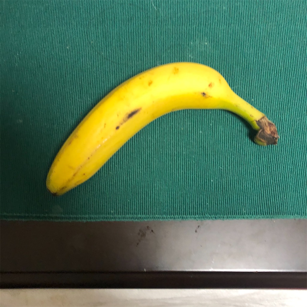 f:id:kasutoridesu:20201207005451j:image