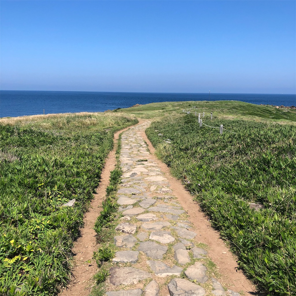 f:id:kasutoridesu:20210731093742j:image f:id:kasutoridesu:20210731093742j:image