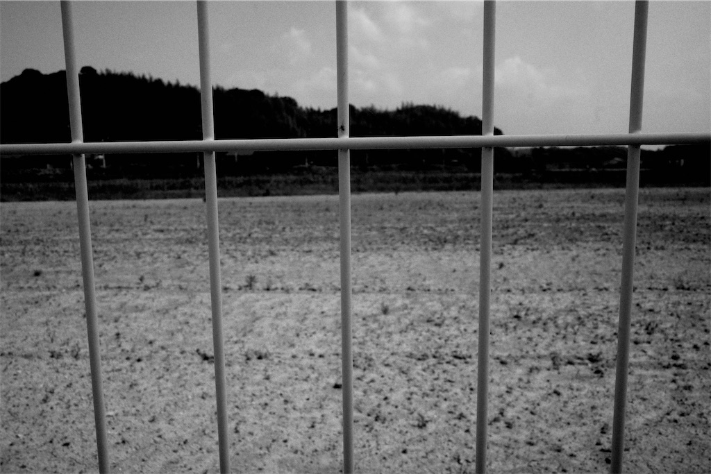 f:id:kasutoridesu:20230523155429j:image