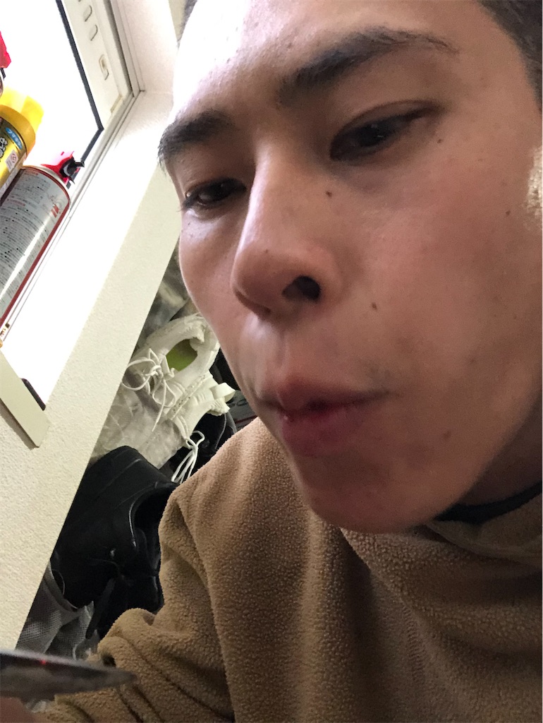 f:id:kasutoridesu:20240111223136j:image f:id:kasutoridesu:20240111223136j:image