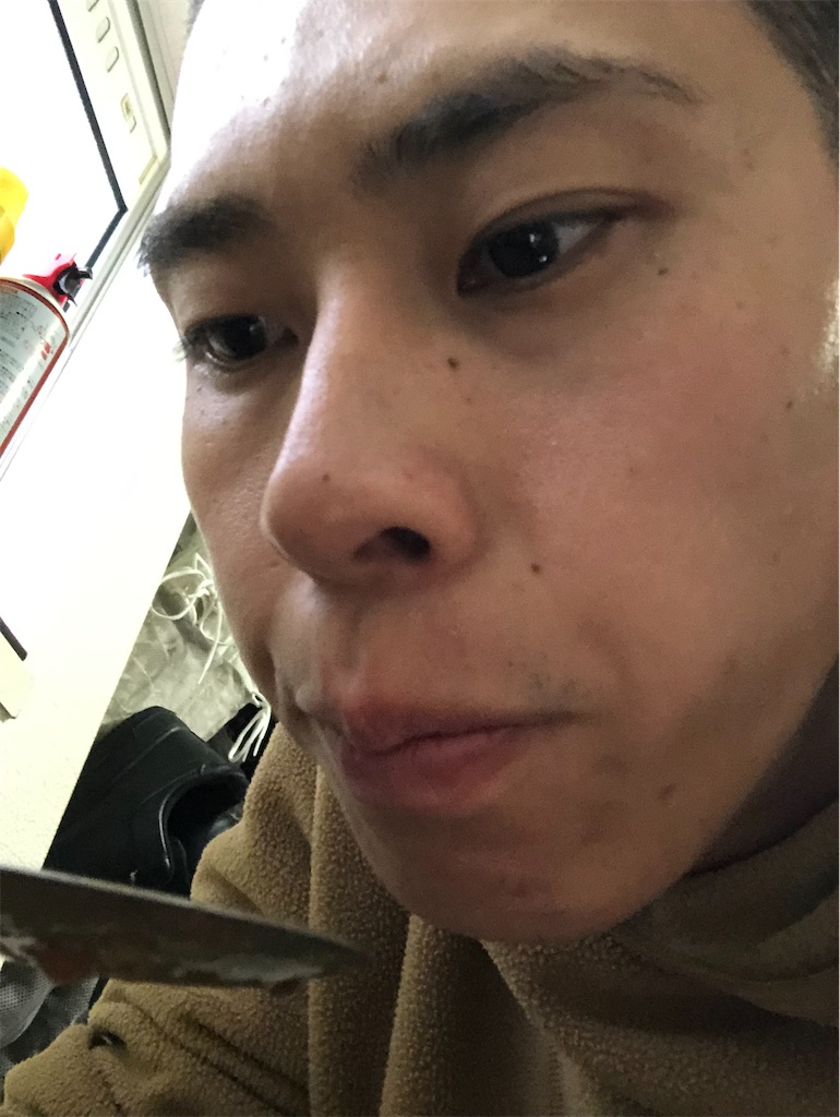 f:id:kasutoridesu:20240111223201j:image f:id:kasutoridesu:20240111223201j:image