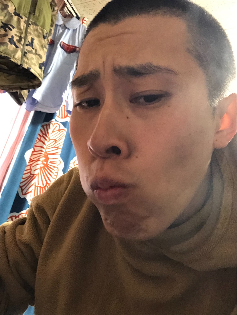 f:id:kasutoridesu:20240111223234j:image f:id:kasutoridesu:20240111223234j:image